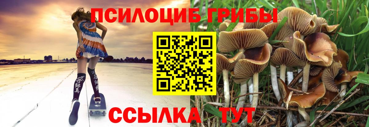 Среднеуральск  Галлюциногенные грибы ЛСД  Вход с VPN 